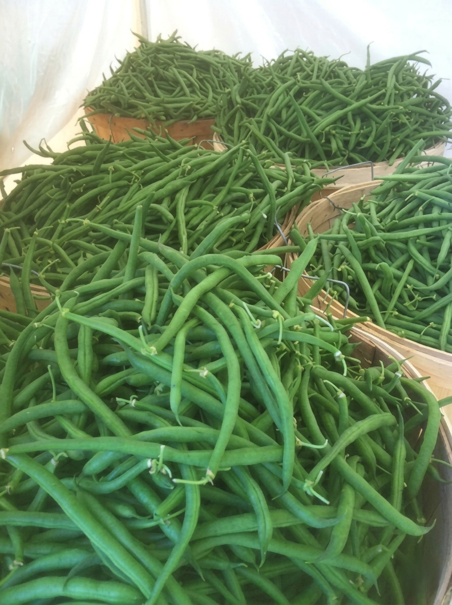 French Beans (Faras Beans)