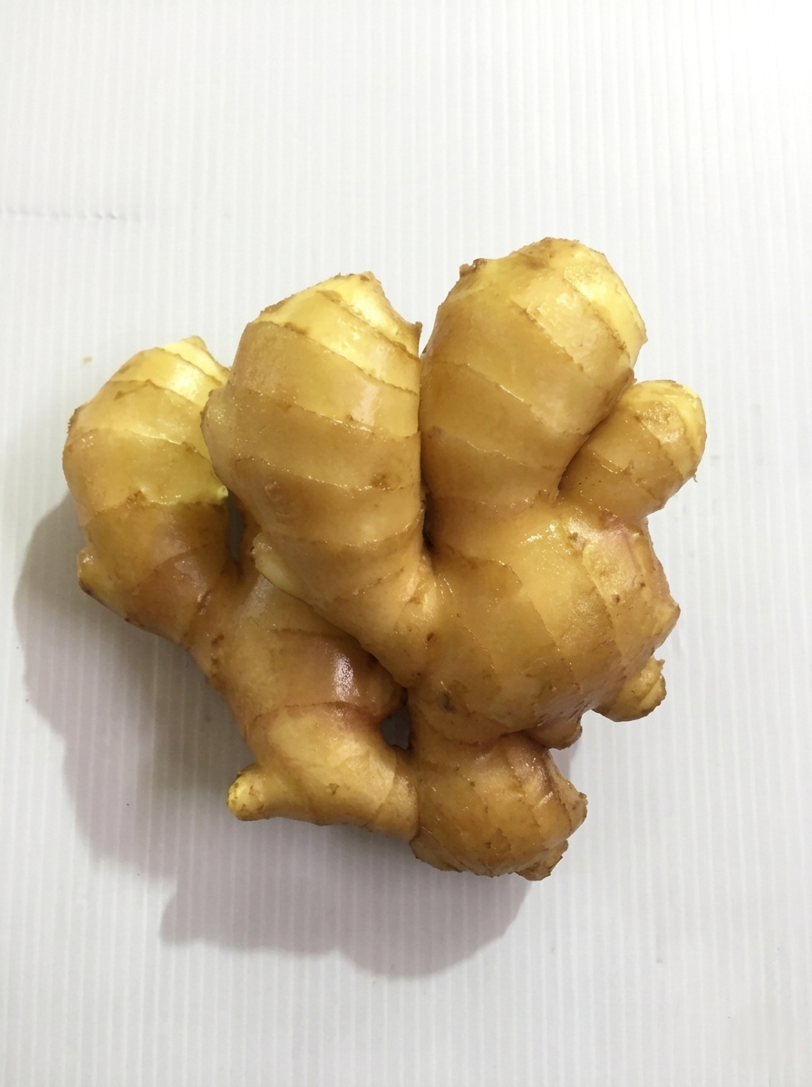 Ginger