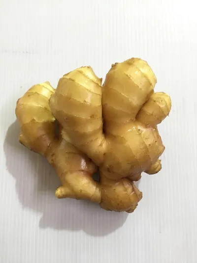 Ginger