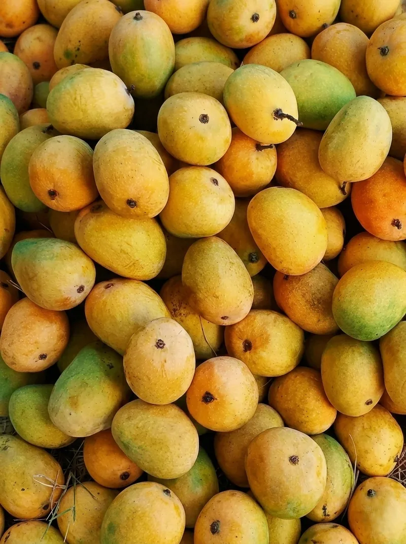 Fruits image 3