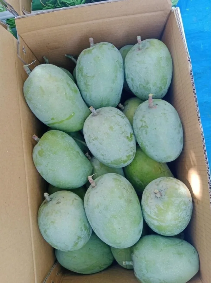 Fruits image 4