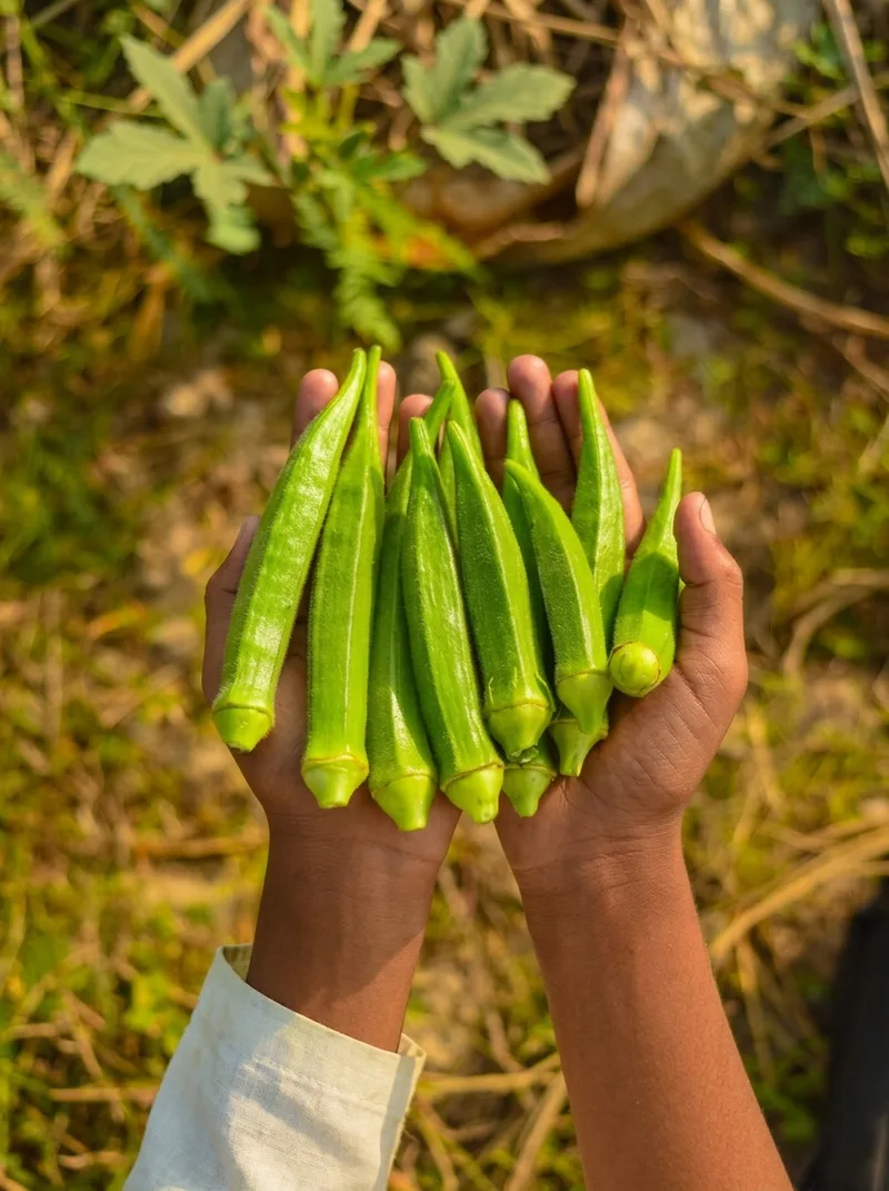 Vegetables image 6