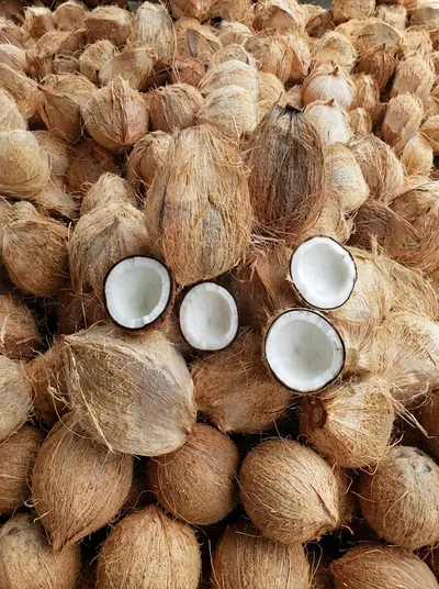 Semi Husked Coconut